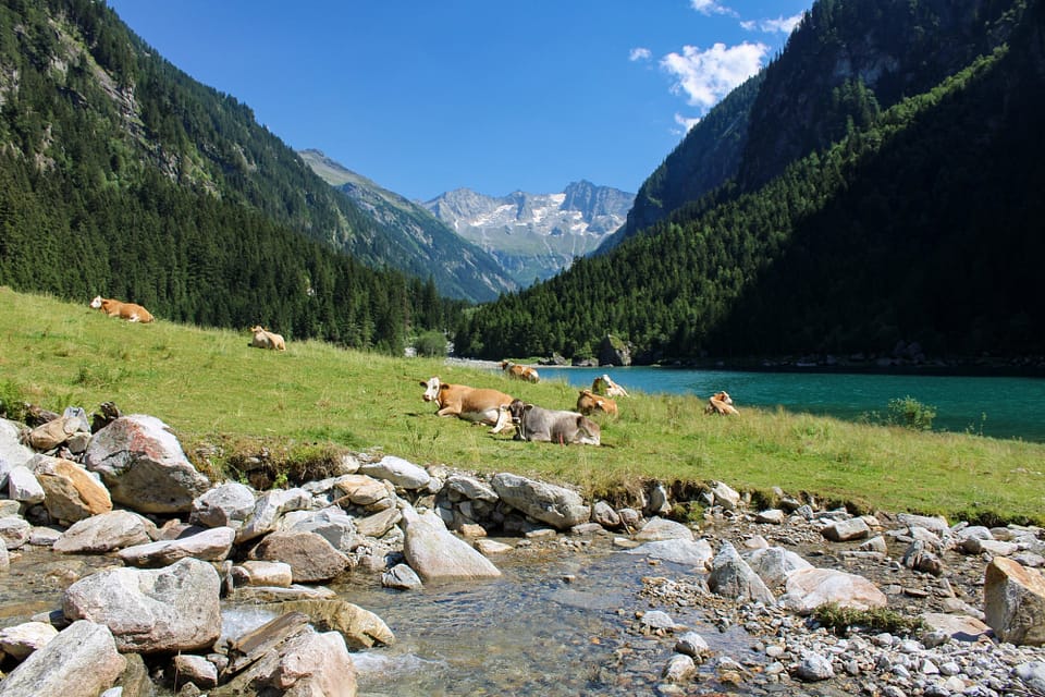 Speicher Stillup, Speicher Stillup baden, Speicher Stillup wandern, Stillup Speicher, Speicher Stillup Maut, Speicher Stillup Wasserfall, Karte Speicher Stillup, Speicher Stillup Wasserfall, Speicher Stillup Wasserfallweg, Wasserfallweg, Wasserfallweg Speicher Stillup, Stilluptal, alpenstraße Stilluptal, alpenstraße Stilluptal Speicher Stillup, Speicher Stillup Adresse, Speicher Stillup Shuttle, Stillupperhaus, wandern Stillupperhaus, Stillupperhaus Wanderung, Wanderungen Stillupperhaus, Stillupperhaus essen, Stillupperhaus Speisekarte, Stillupperhaus Erfahrung, wandern Stilluptal, Stilluptal Ausflug, Stilluptal, Stilluptal wandern, Stilluptal Wasserfall, Mayrhofen Stilluptal, mautstraße Stilluptal, Stilluptal Mayrhofen, Mayrhofen, Mayrhofen wandern, wandern Mayrhofen, Mayrhofen Zillertal wandern, wandern Zillertal, Wanderung Zillertal, wandern im Zillertal, leichte Wanderung Zillertal, leichte Wanderung im Zillertal, Wasserfall im Zillertal, Wasserfallweg Zillertal, Wandern mit Kindern im Zillertal